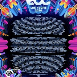 EDC VIP Ticket