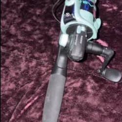 Fishing Poles 