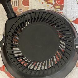 Briggs and Stratton Pool Start Recoil
