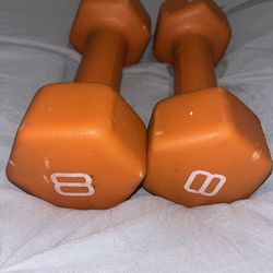 Two 8 Pound Weights 