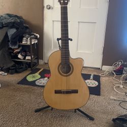 Palmer  Guitar 