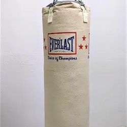 Everlast Heavy Bag