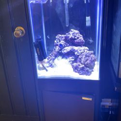 15 Gallon Fishtank W/ Stand 