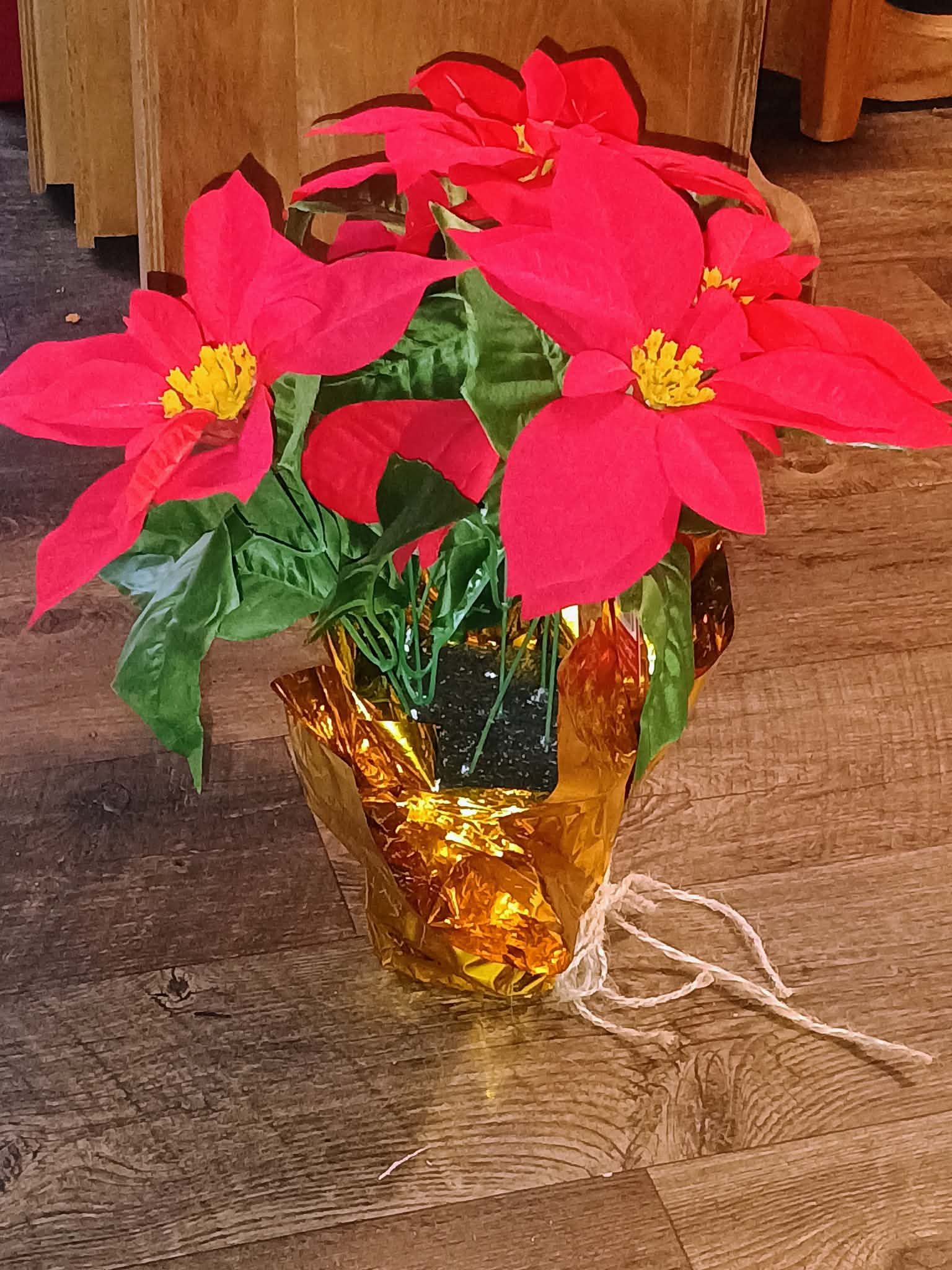 Fake Red plant
