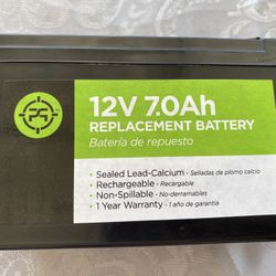 2.5 in. Lead Acid 12-Volt 7.0 Ah Replacement Battery