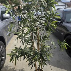 Fake Tree/Plant 