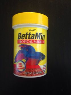 Betta fish food