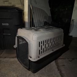 Dog Kennel