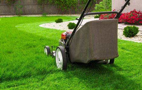 Cut gras Power Washing Painting And More
