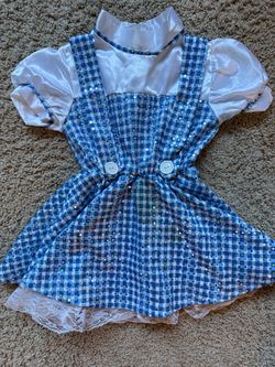 Dorthy Costume