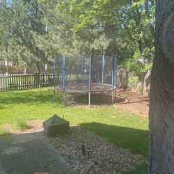 Trampoline