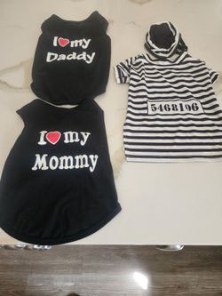 Dog apparel