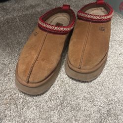 Tazmanian Uggs