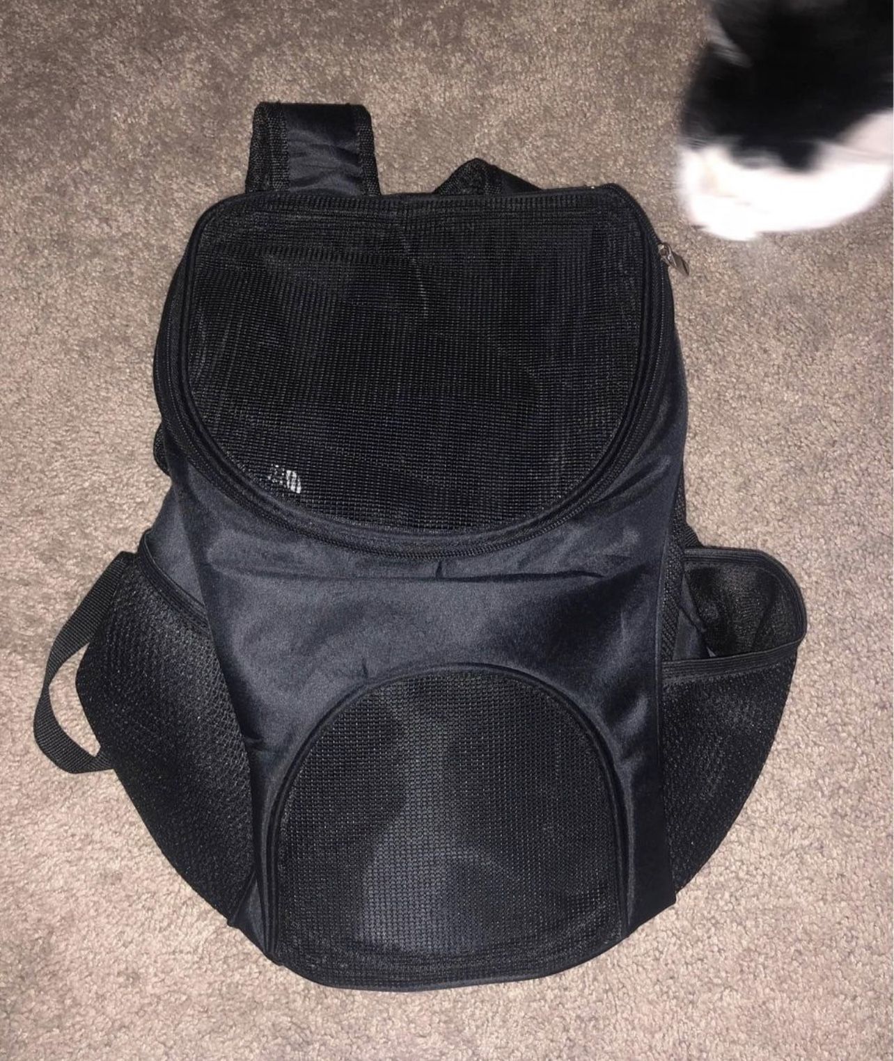 Pet Backpack