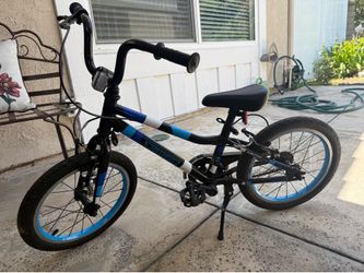 16” Guardian Bike
