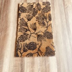 LIKE NEW Pinecone Door Mat – Natural Coir – $10