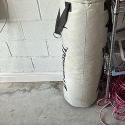 Punching Bag 