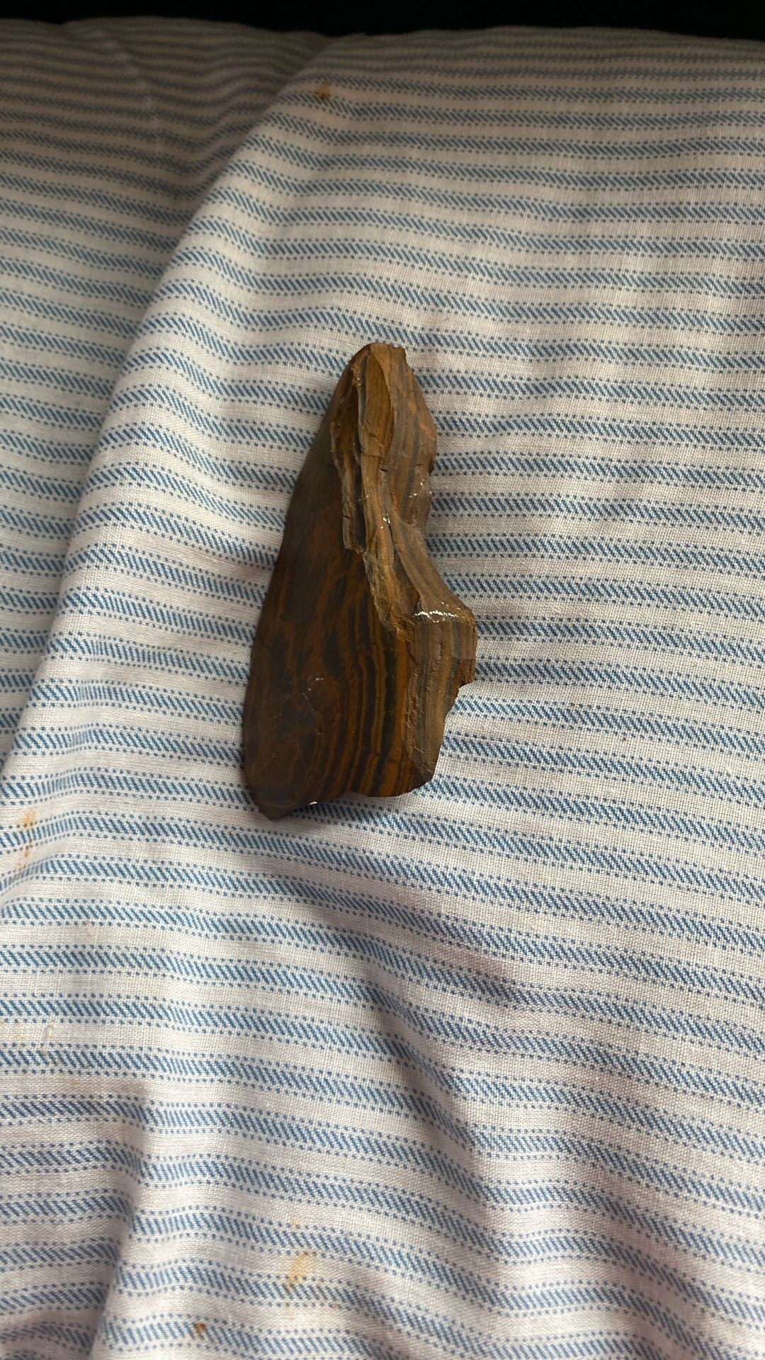 pitcher fide wood