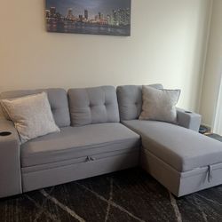 Sofa Pull Out Bed Sectional 