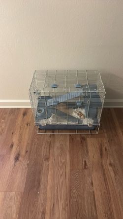 hamster cage 