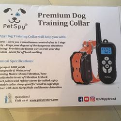 Dog Training Collar