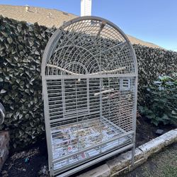 Bird Cage