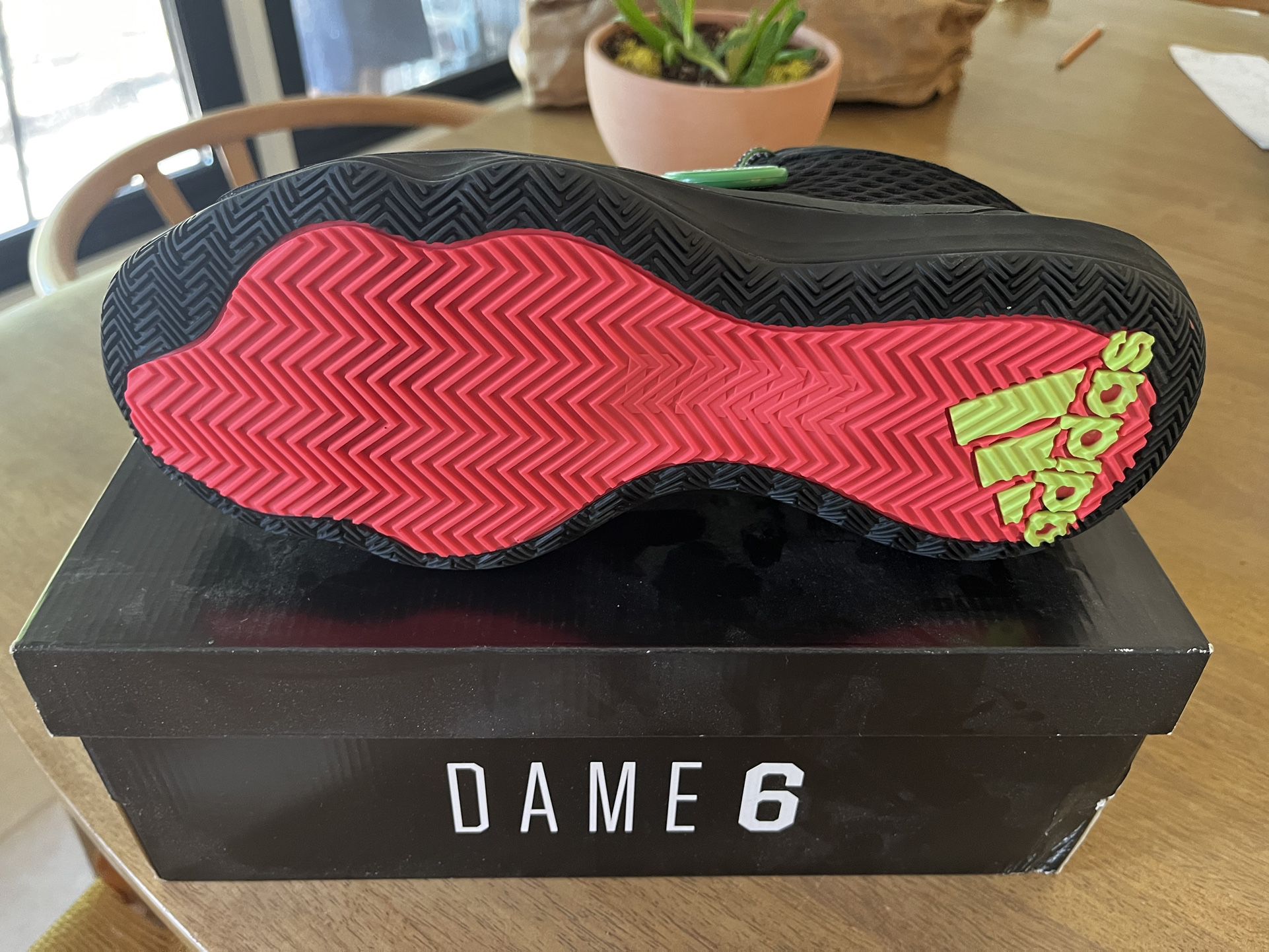 Brand New Dame 6 Adidas Shoes