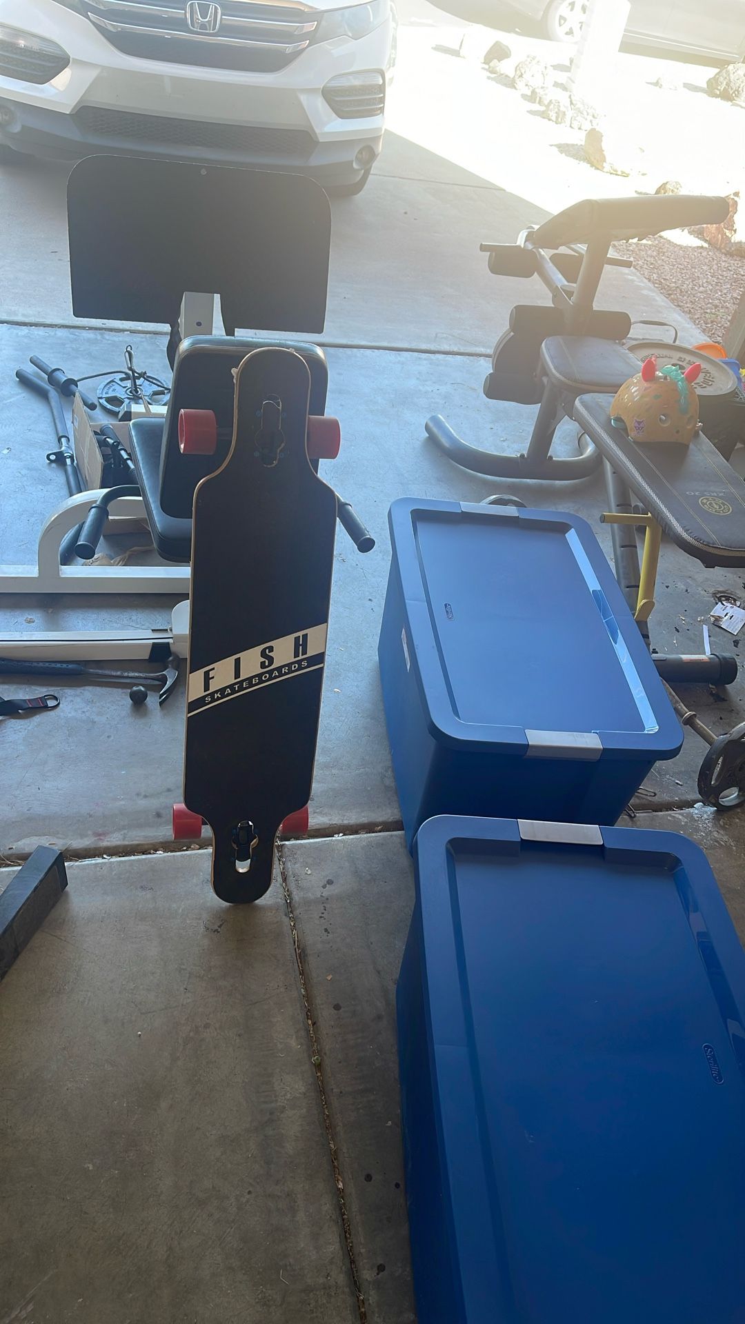 Long Board Skateboard