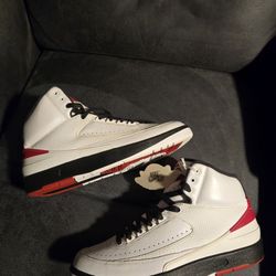 Chicago Jordan 2 Sz 10.5