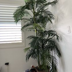 Fake House Plant 