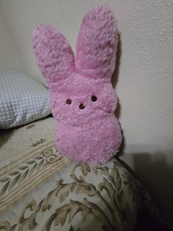 Plush Pink Bunny