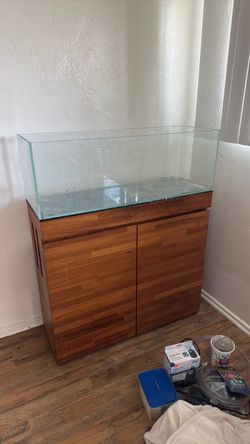 Saltwater aquarium setup