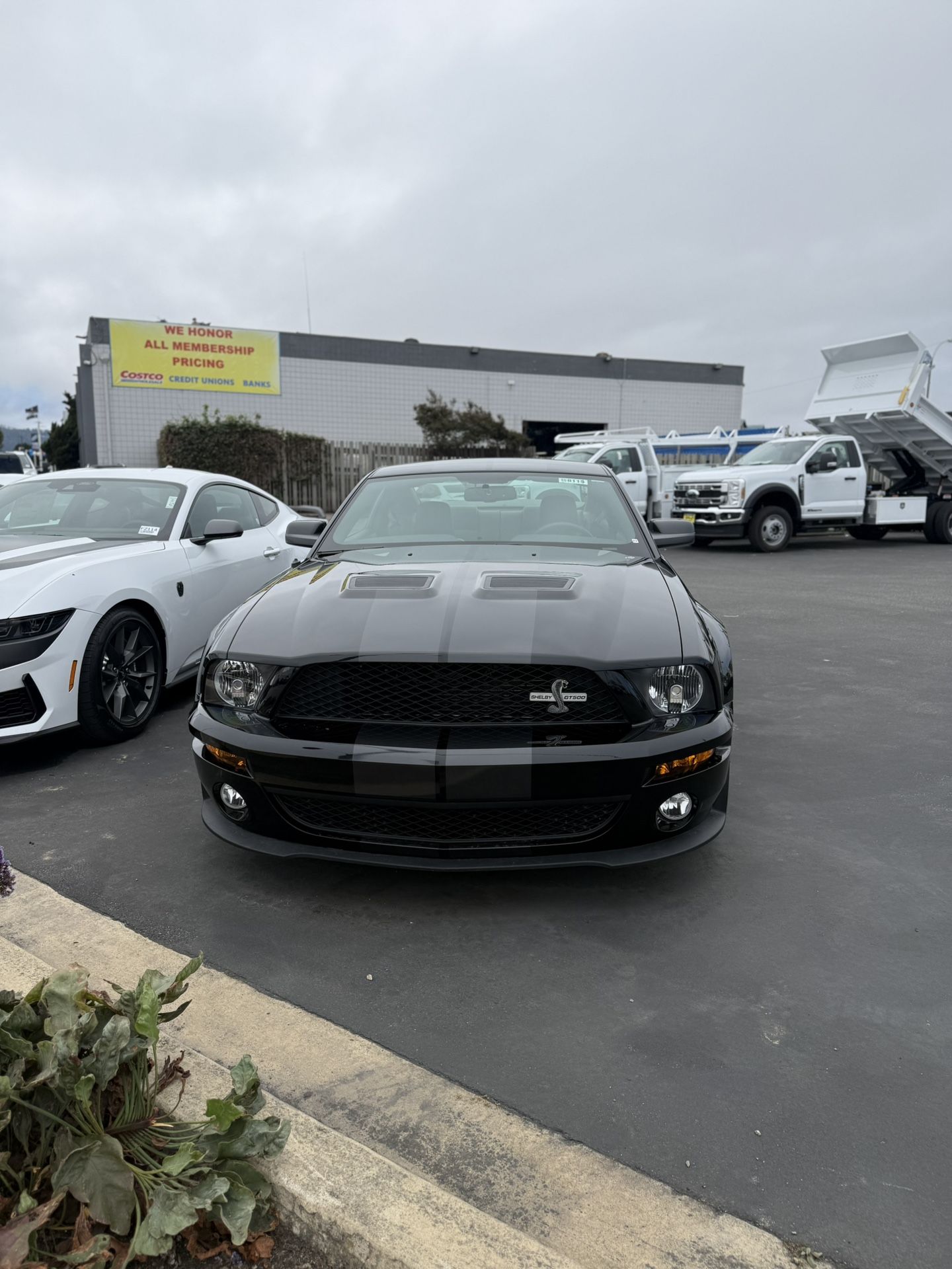 2008 Ford Mustang