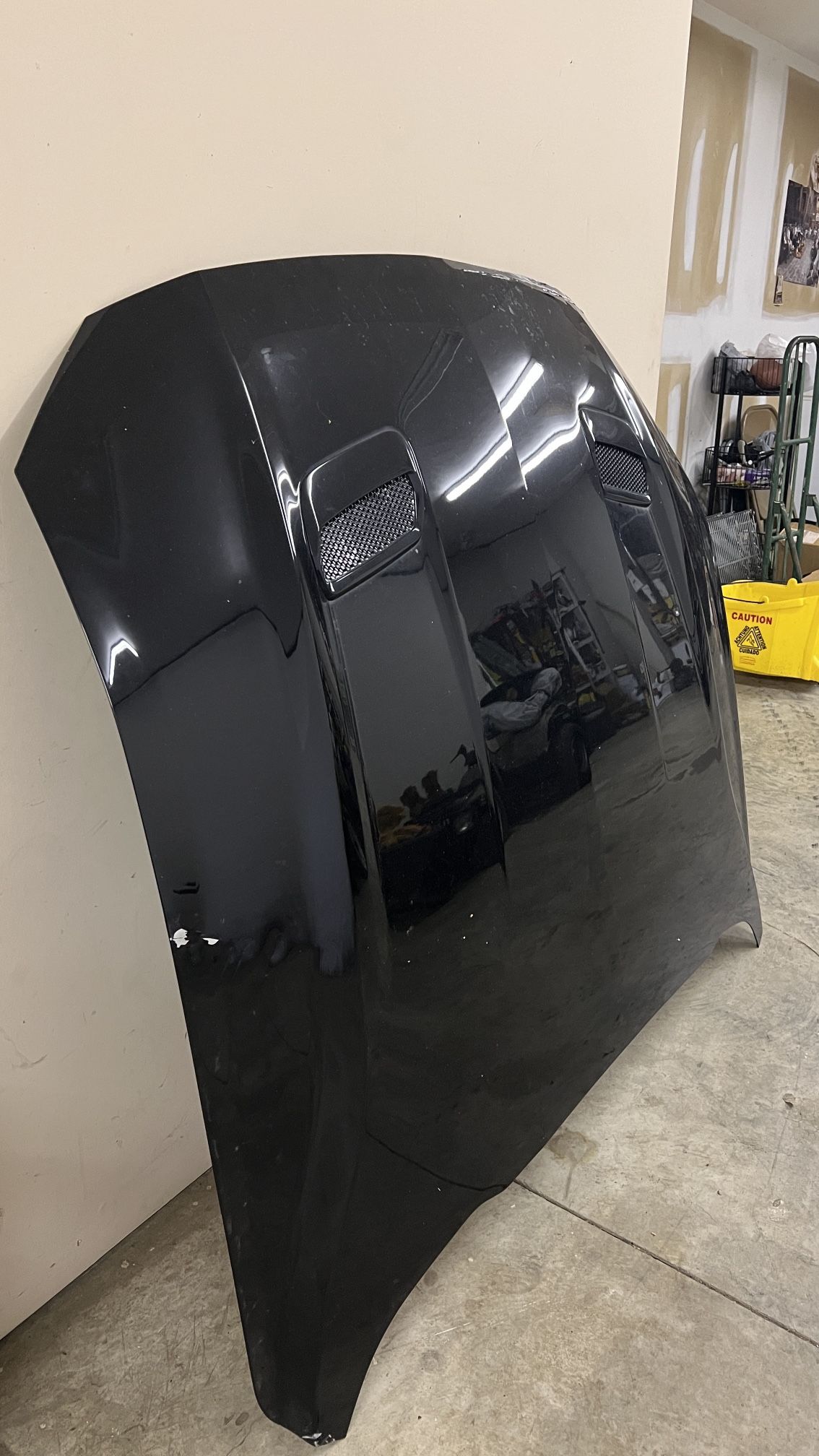 2021 Mustang GT Hood