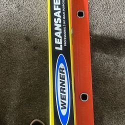 Werner Ladder 