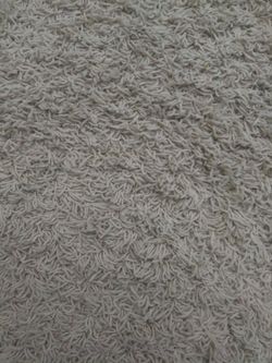 Area rug