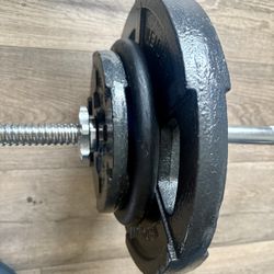 Standard Super Curl Bar with Weider Weight Plates 25s, 10s and 5s. (Total: 98 lbs)    