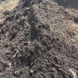 Enrich Soil