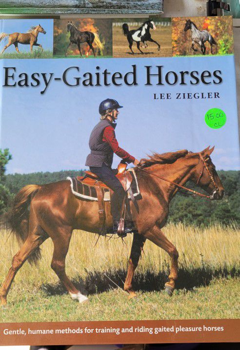 Farm - Easy Gaited Horses
