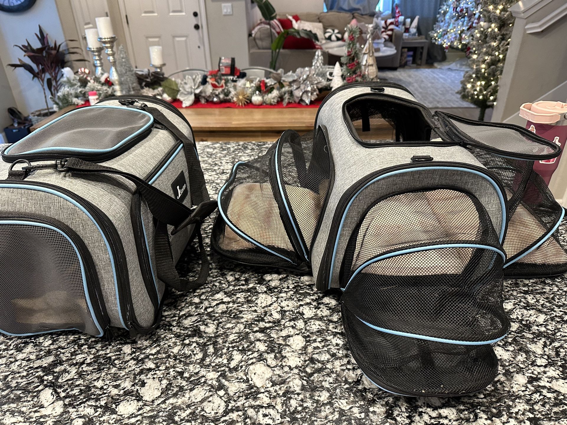 Cat/small Dog Carrier