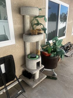 Cat Tree