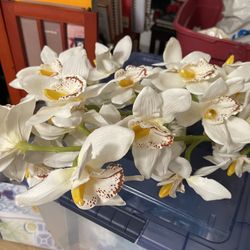 White Orchids On 3 Stems  Looks So Real!