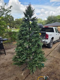 2 Christmas tree