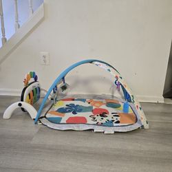 Baby Einstein Play Mat