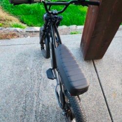 Freego Mini Electric Dirt Bike for Adults 800W (Peak) Motor/48V/10.4Ah, 16" x3 Fat Tire Off Road Electric Motorcycle 31mph