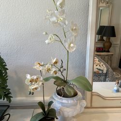 Orchid – Artificial, Two Available, $40 For Large, $20 For Small