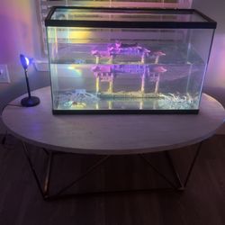 Fish tank And Table 