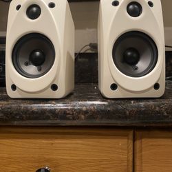 Polk Audio Rear Surround Sound Speakers 
