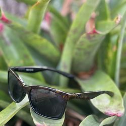 $240 Costa Del Mar Anaa Polarized Sunglasses – Only $90!