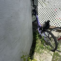 Bikes 